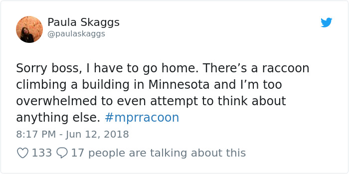 Internet Holds Its Breath As Raccoon Climbs A Skyscraper, And It Gets Scarier And Scarier With Every Pic Internet Holds Its Breath As Raccoon Climbs A Skyscraper, And It Gets Scarier And Scarier With Every Pic