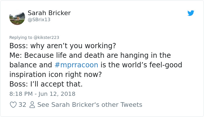 Internet Holds Its Breath As Raccoon Climbs A Skyscraper, And It Gets Scarier And Scarier With Every Pic