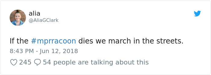 Internet Holds Its Breath As Raccoon Climbs A Skyscraper, And It Gets Scarier And Scarier With Every Pic