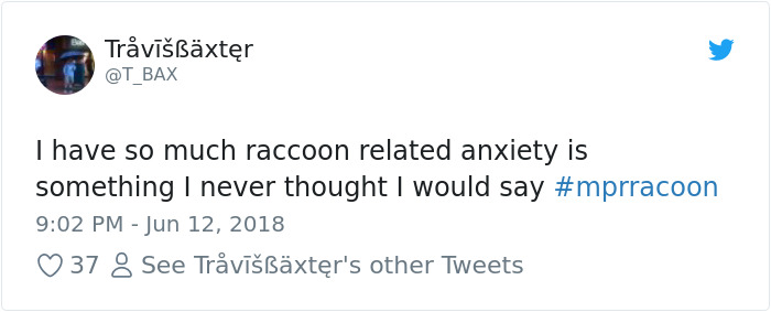 Internet Holds Its Breath As Raccoon Climbs A Skyscraper, And It Gets Scarier And Scarier With Every Pic