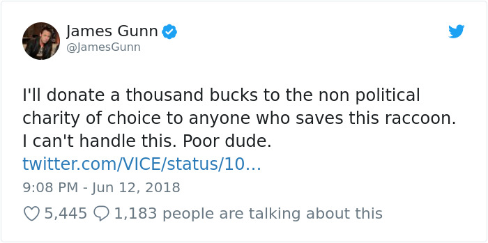 Internet Holds Its Breath As Raccoon Climbs A Skyscraper, And It Gets Scarier And Scarier With Every Pic Internet Holds Its Breath As Raccoon Climbs A Skyscraper, And It Gets Scarier And Scarier With Every Pic