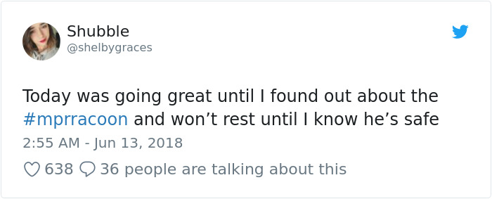 Internet Holds Its Breath As Raccoon Climbs A Skyscraper, And It Gets Scarier And Scarier With Every Pic