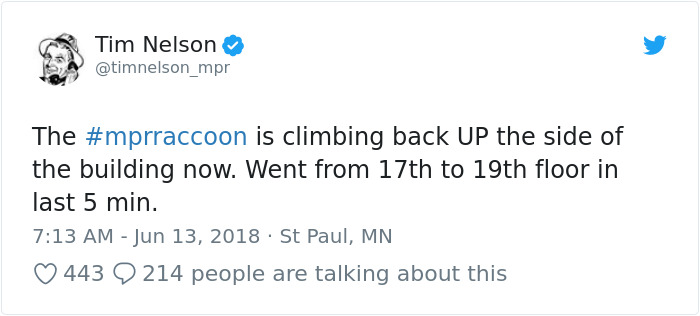 Internet Holds Its Breath As Raccoon Climbs A Skyscraper, And It Gets Scarier And Scarier With Every Pic Internet Holds Its Breath As Raccoon Climbs A Skyscraper, And It Gets Scarier And Scarier With Every Pic