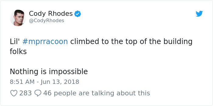 Internet Holds Its Breath As Raccoon Climbs A Skyscraper, And It Gets Scarier And Scarier With Every Pic