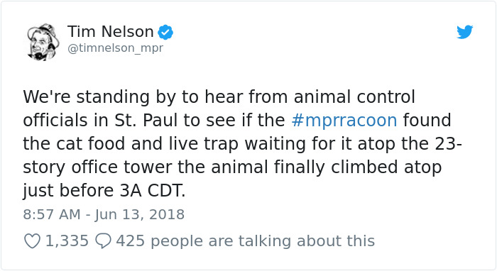 Internet Holds Its Breath As Raccoon Climbs A Skyscraper, And It Gets Scarier And Scarier With Every Pic Internet Holds Its Breath As Raccoon Climbs A Skyscraper, And It Gets Scarier And Scarier With Every Pic