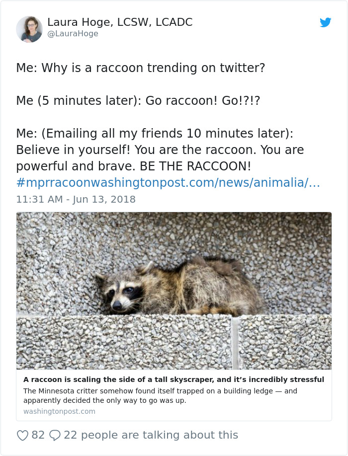 Internet Holds Its Breath As Raccoon Climbs A Skyscraper, And It Gets Scarier And Scarier With Every Pic Internet Holds Its Breath As Raccoon Climbs A Skyscraper, And It Gets Scarier And Scarier With Every Pic