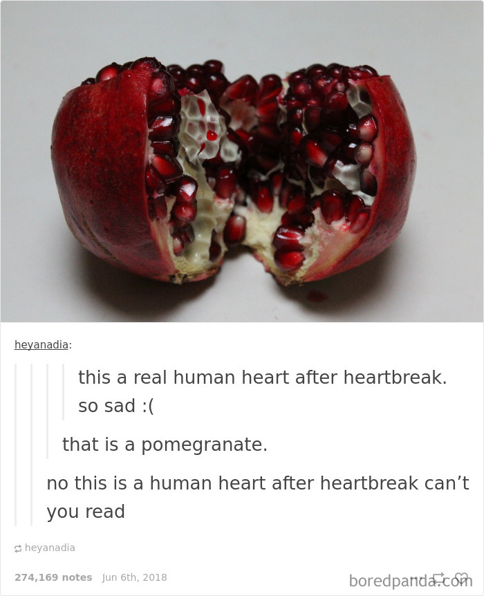 Funny-Conversations-Unexpected-Twist-Tumblr