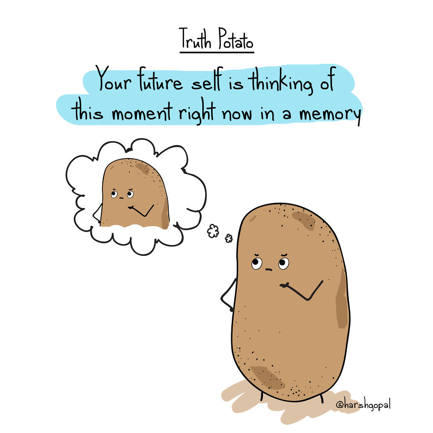 20+ Bitter Truths From The Truth Potato That You Must Read (Again)!