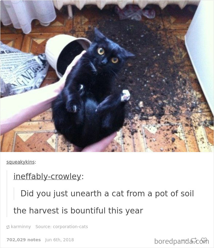 Funny-Conversations-Unexpected-Twist-Tumblr