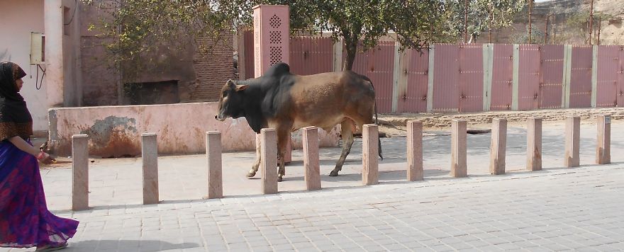 India: What Is Different From Europe