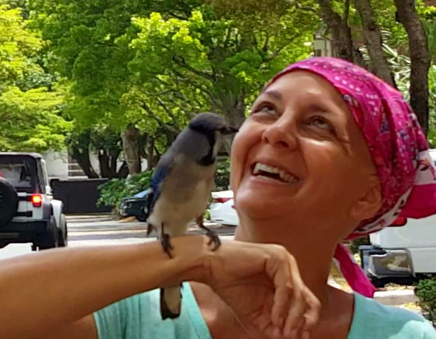 Saved By A Winged Angel Saved By A Winged Angel