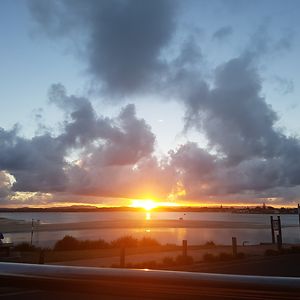 ngaerewoodford avatar