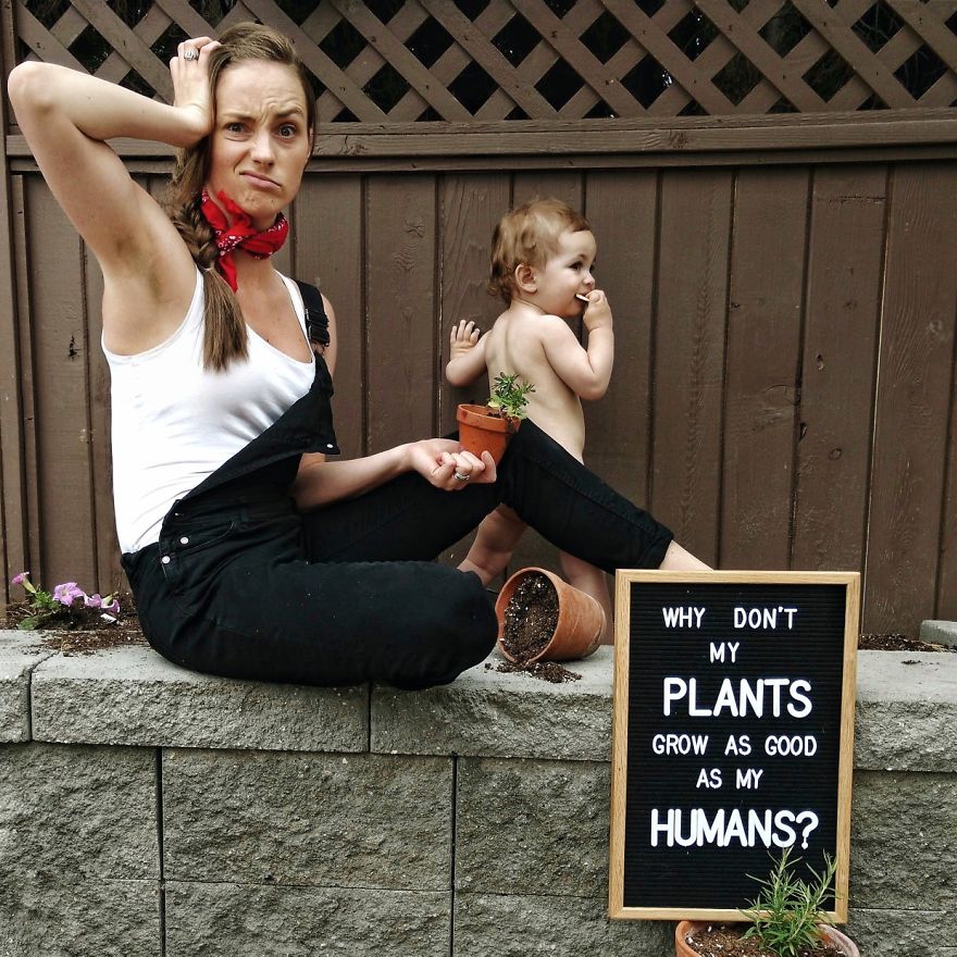 Anyone With A Green Thumb Out There? Help Me!