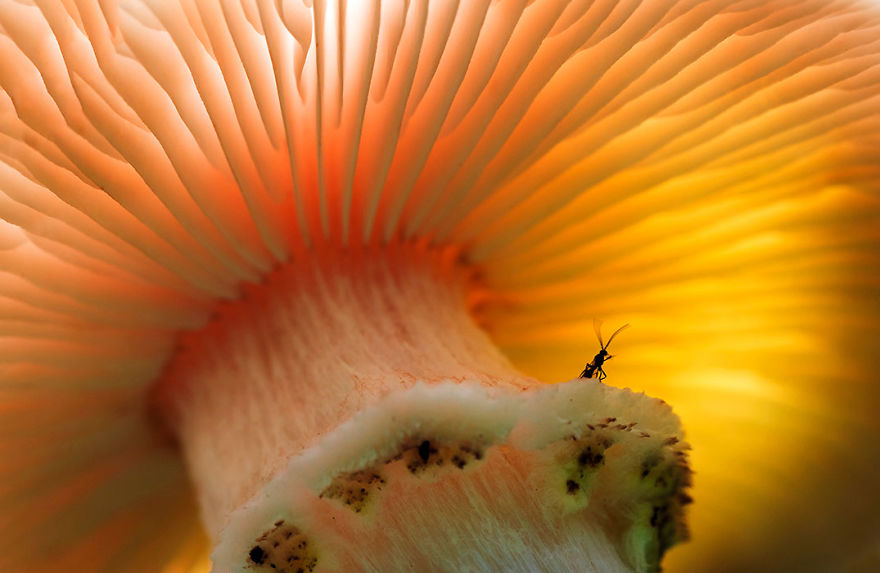 Welcome To My Humble Abode