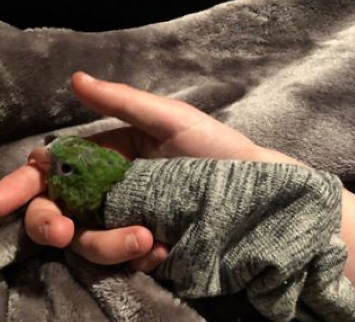 I Run A Small Animal Rescue: This Is What I See Every Day