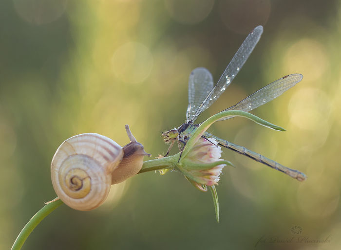 I Photograph The Beauty Of Nature