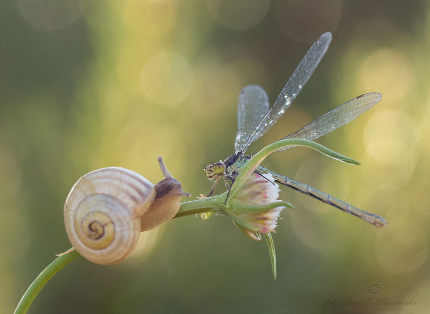 I Photograph The Beauty Of Nature