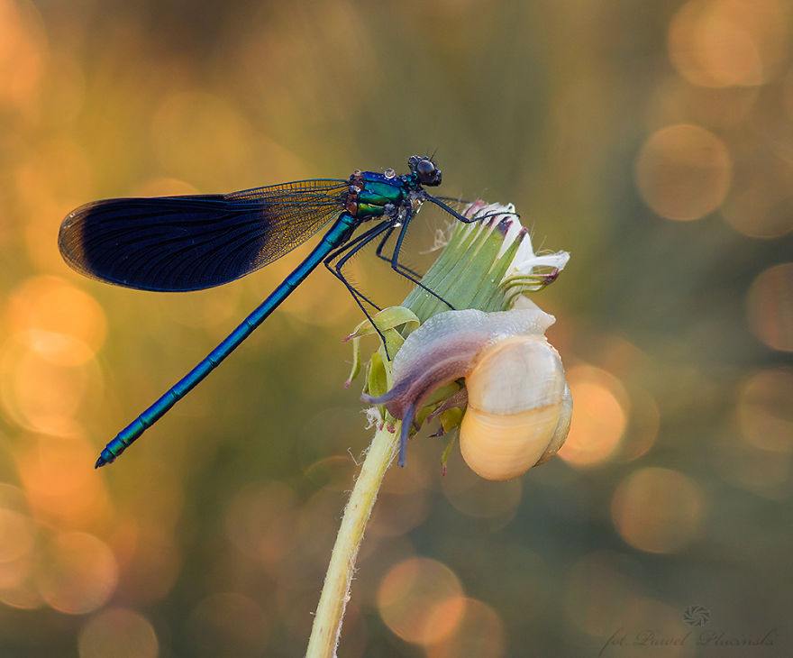 I Photograph The Beauty Of Nature