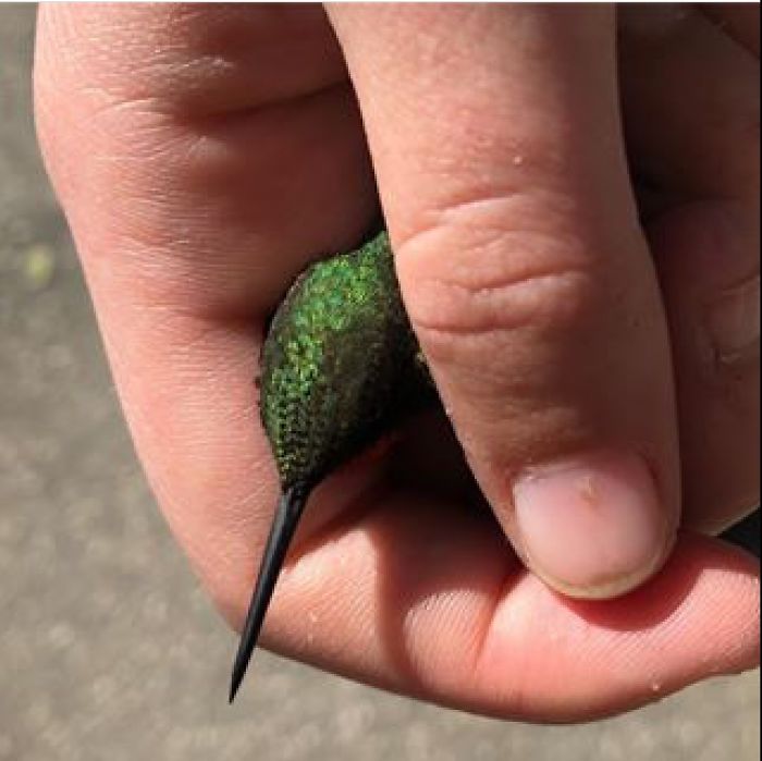 I Run A Small Animal Rescue: This Is What I See Every Day