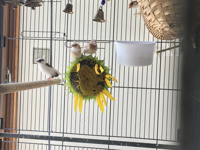 I Run A Small Animal Rescue: This Is What I See Every Day