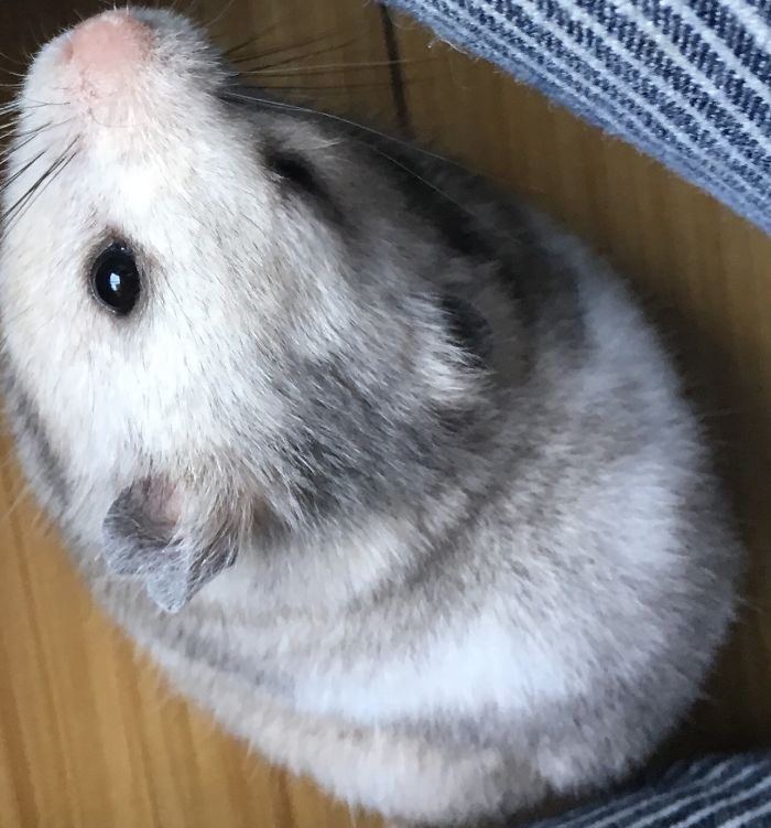 I Run A Small Animal Rescue: This Is What I See Every Day