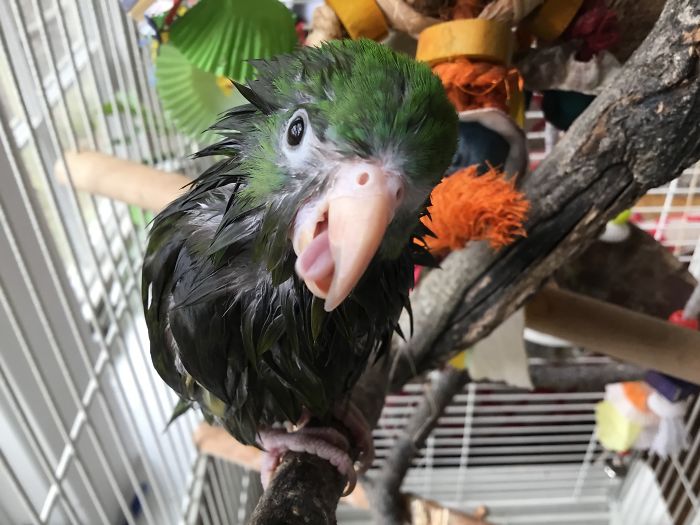 I Run A Small Animal Rescue: This Is What I See Every Day