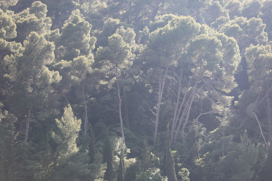 How Traveling Is Changing My Autistic Daughter How Traveling Is Changing My Autistic Daughter