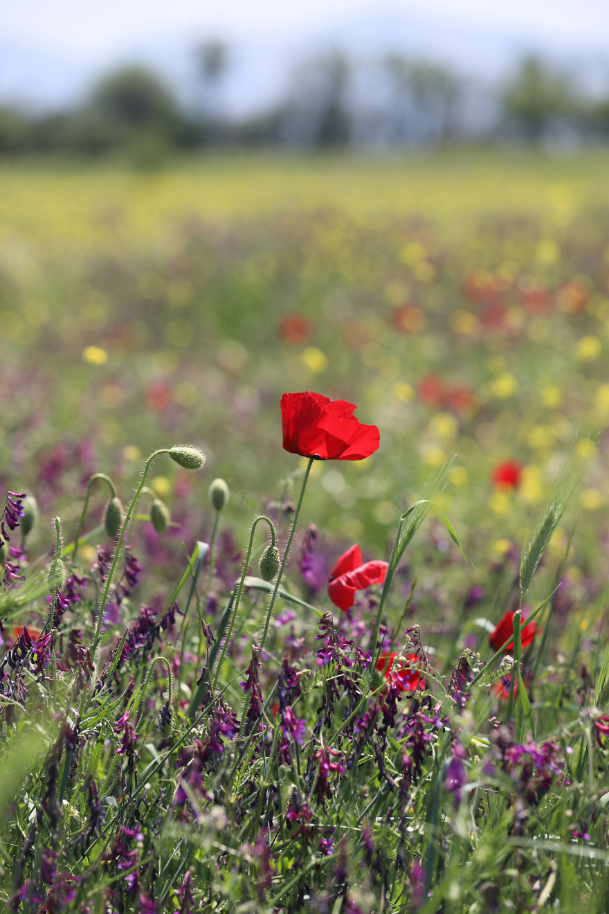 How Traveling Is Changing My Autistic Daughter How Traveling Is Changing My Autistic Daughter