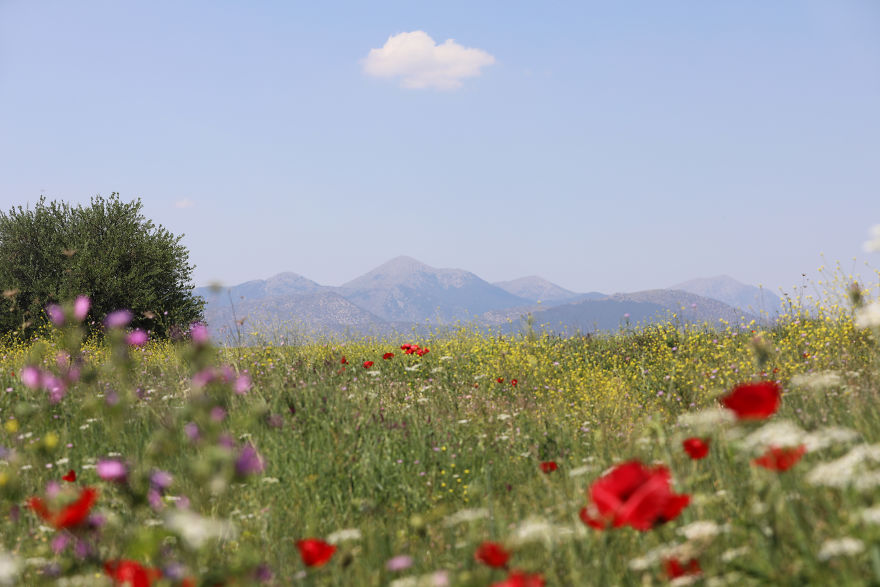 How Traveling Is Changing My Autistic Daughter How Traveling Is Changing My Autistic Daughter