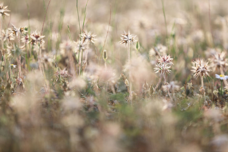 How Traveling Is Changing My Autistic Daughter How Traveling Is Changing My Autistic Daughter