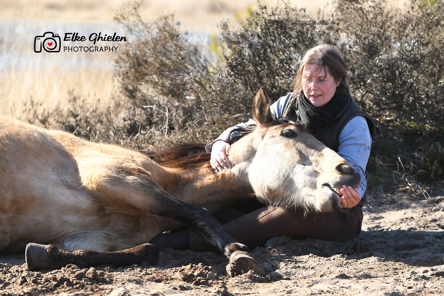 The Love And Trust Between These Horses And Owner Is Amazing