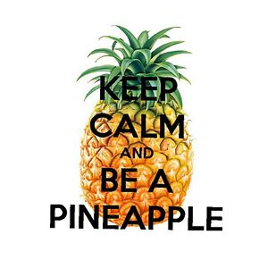 shaybaby1234567890 avatar