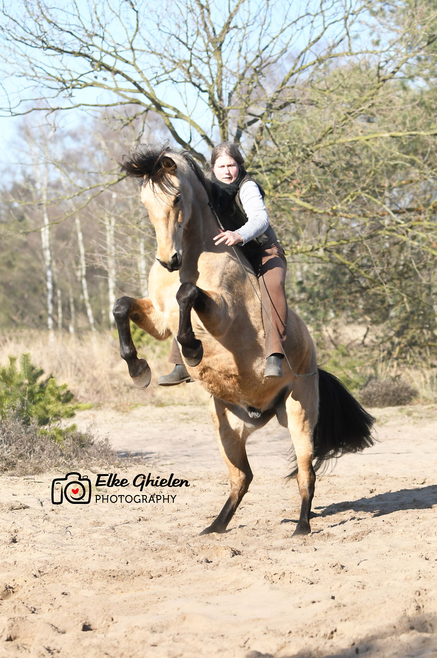 The Love And Trust Between These Horses And Owner Is Amazing