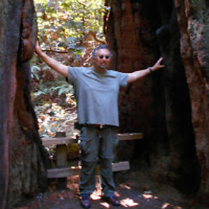 yasunoritsuchida avatar