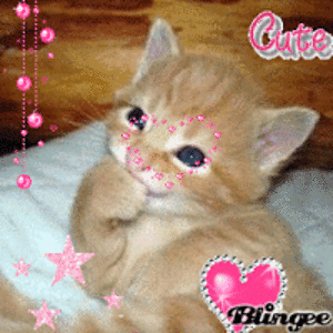 lulucialicious avatar