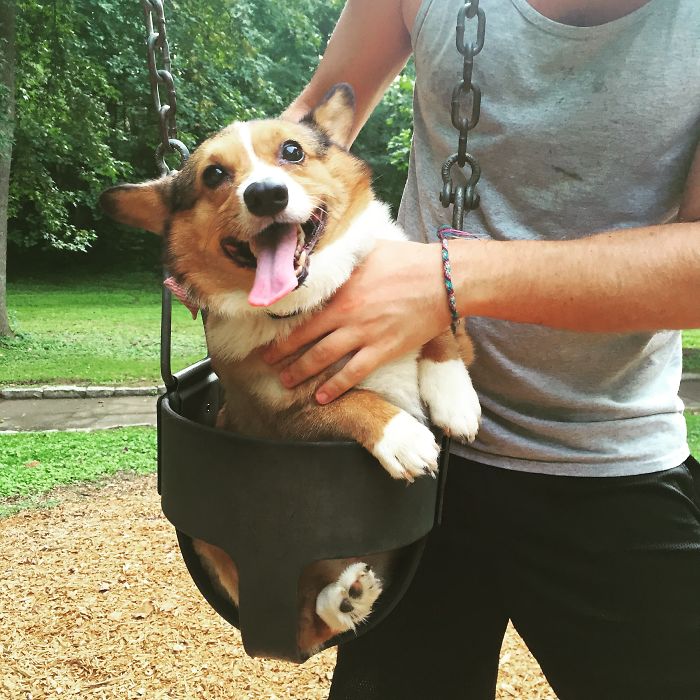 Smiling Swinging Short Stuff