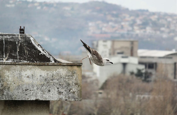 This Picture My Dad Took