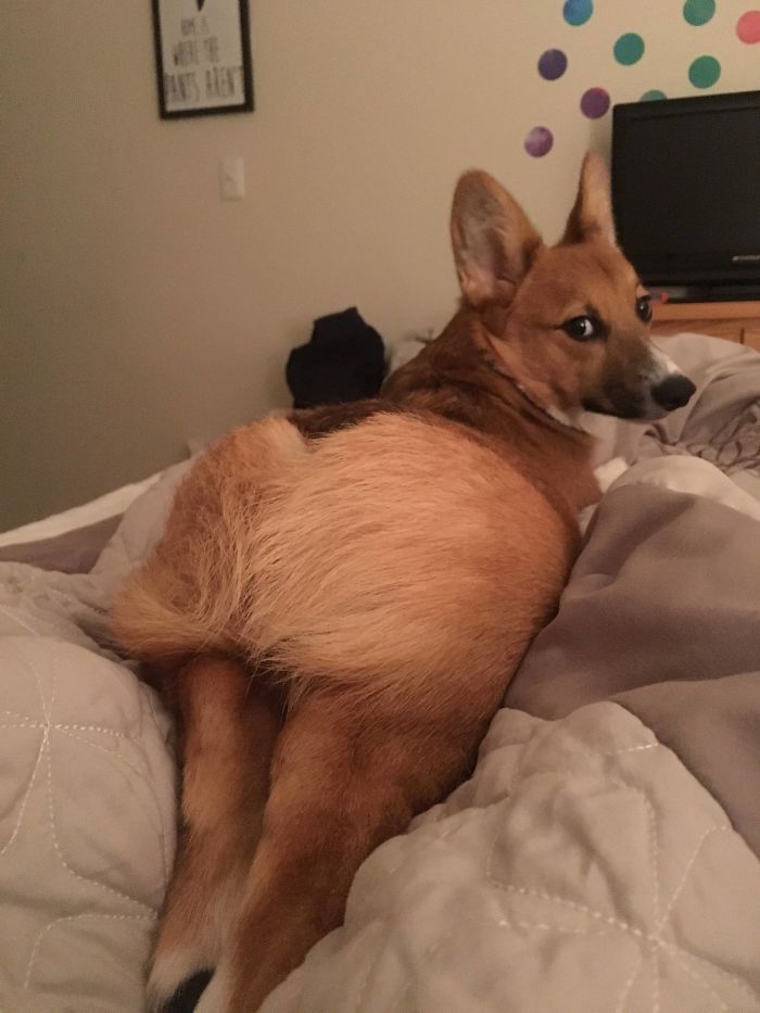 When A Girl Looks At You Like This...