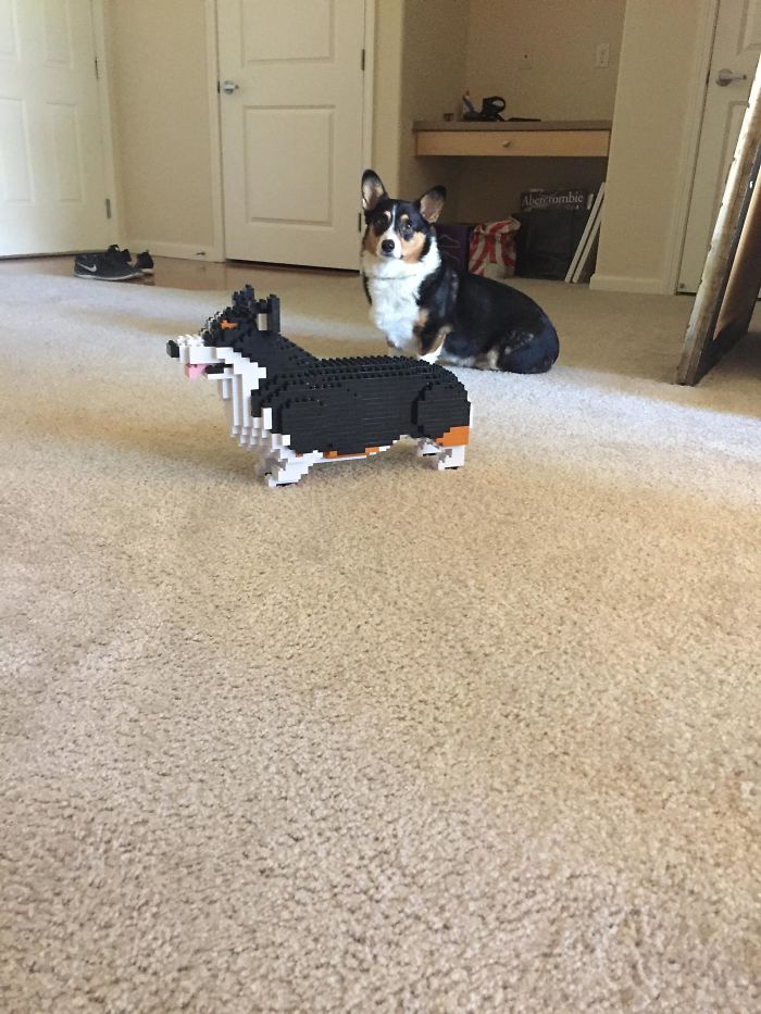 You Think This Is A Joke?