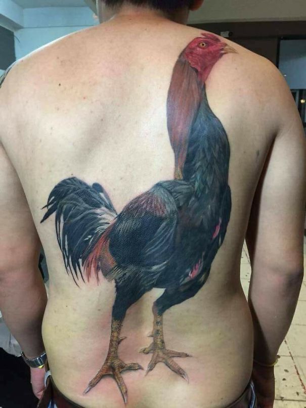 Back tattoo fail depicting a large, detailed rooster covering the entire back.