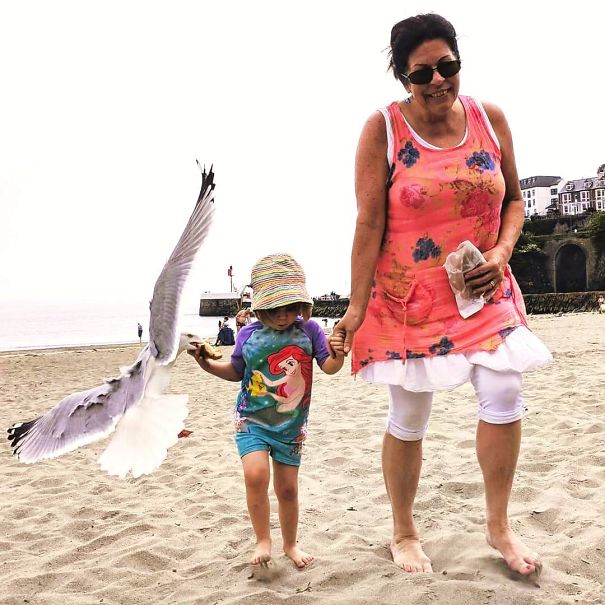 Don't Feed The Birds