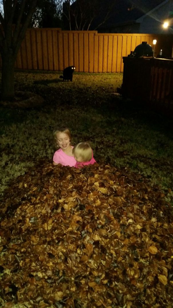 Just Hanging Out... Kids Playing In The Leaves, Smoking Some Chicken On The Green Egg, Oh And Our Dog...