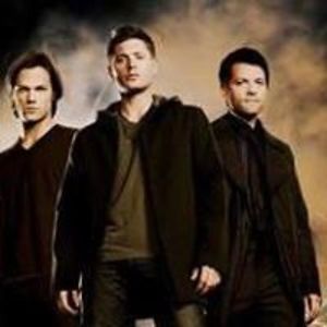 tonilleewalsh avatar