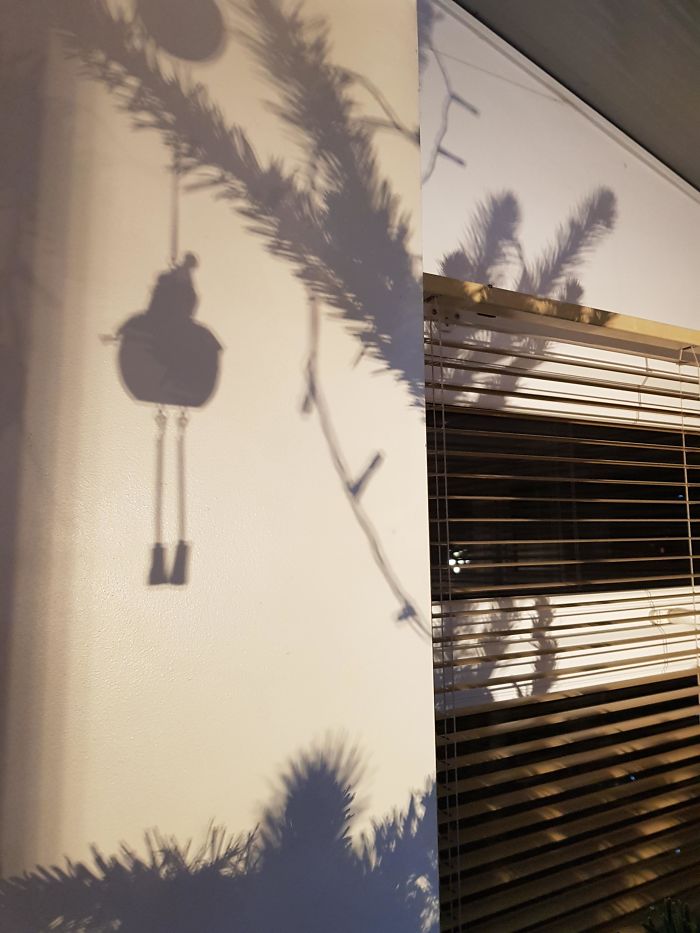 The Shadow Of Our Christmas Tree Didn't Turn Out Very Merry