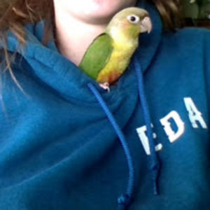 natalieharrison avatar