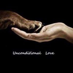 anukriti_misra avatar