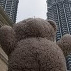 noktelfarootcreeper avatar