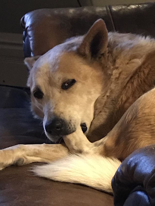 He Likes To Suck On His Foot Before Bed