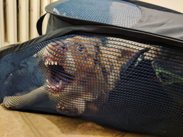 "I'll Help With Laundry, Ok?"