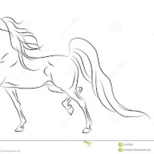 firstcommanders avatar